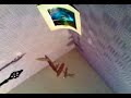 Girl Changing in Her Dorm Room  *hidden Cam*