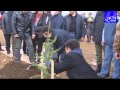 Click to View : People plant trees on weekend