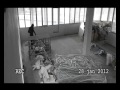 Fight Просмотр видео