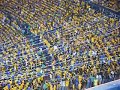 libres y lokos los rayados tienen miedo