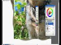 HannahInit Vs. Corel Painter Essentials 3 German Shepard HannahInit Vs. Corel Painter Essentials 3 German Shepard