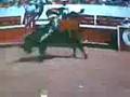 oseguera vs oro negro