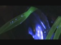 BILLY3X NINJA MODDING LIQUID VGA