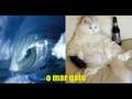 videos de O Ary zap - flor no bonde