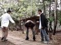 CORRA BODE PORRA!!! (Curta metragem)