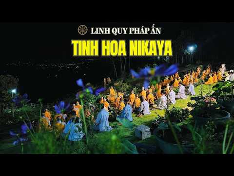 Tinh Hoa NIKAYA- 5 Hạng Người Sống Ở Rừng - Thế Tôn Ơi ! Con Biết Ơn Ngài Nhiều Lắm ! *