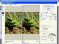 Reducing image file size for use in other programs