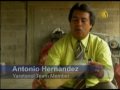 Venezuela Pioneers Alternative Fuel from Cassava Root  New Tang Dynasty Television