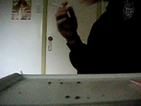 puffs de hashish version Quebec tabarnak