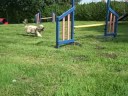 Slo-mo Bobby