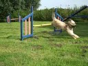 Slo-mo Bobby