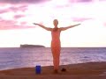 GAIAM Desk Yoga met Rodney Yee