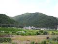 521系@湯尾~今庄