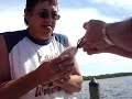Flounder caught