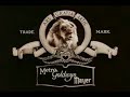 Metro-Goldwyn-Mayer-Jackie The Lion