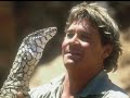 show crocodile