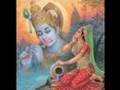 Mara ghat ma birajta Shrinathji