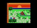 the ending for the adventures of lolo 3 for the nes. the last stage was 10 times harder than the boss.