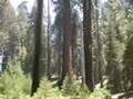 Yosemite-National-Pa