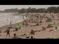 videos de Plageman