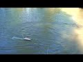 AQUACRAFT REEF RACER 2 PLAY TAG AQUACRAFT REEF RACER 2 PLAY TAG