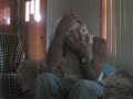 Cluster Headache Cluster Headache