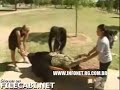 M�gica no Parque