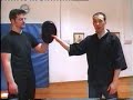 Martial arts - JKD - jeet kune do (21 movimientos)