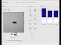 tracking an object with Numenta Vision toolkit