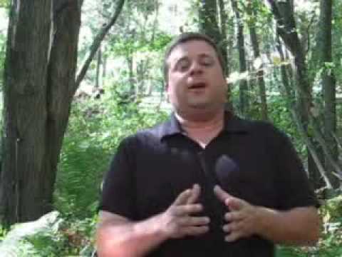 how to train boxer dog