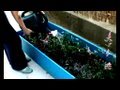 DIY Backyard Overhaul, Threadbanger