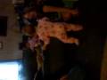 videos de Emma doing some more walking