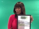 videos de Omarosa