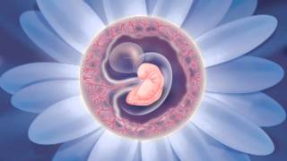 Prenatal Meditation - Part 1: Conception And Creation (Stages Of Pregnancy Visualizations)