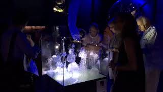 The Venice Glass Week 2018 - Musée d'Histoire Naturelle, Venise - 09 au 16/09/2018