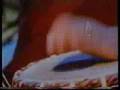 Tabla by Ustad Alla Rakha