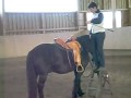 MagicMerlin & Sandra - Parelli Audition Freestyle Level 2