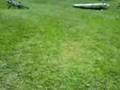 videos de majia