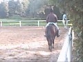 Jarnie dressage 4 octobre 2008 Jarnie dressage 4 octobre 2008