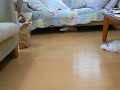 ?????????? ??????????