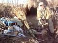 Desert survival, Part 1,water management,The Brigham Tea co,