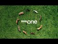 New BBC One Ident - Dog Display