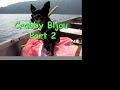 crabby-chihuahua.html