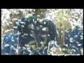 Assistir ao v�deo