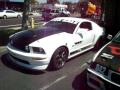 White Steeda Mustang View Video
