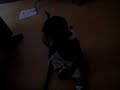 SDC17926 mpeg2video