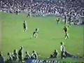 Zico - Gols