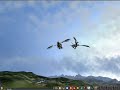 \"The ice griffon\" - Dark and Light