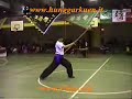 Hung Ga Kung Fu