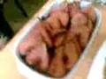 mapavi..2cicloB nuestro buffet ps!